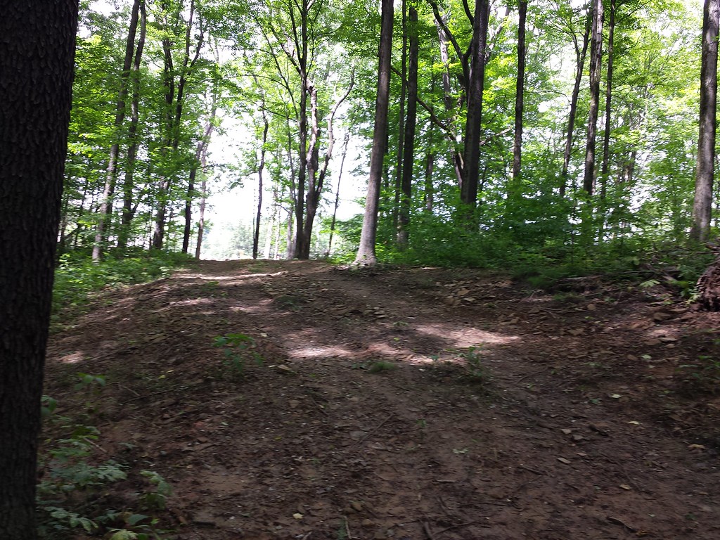 Forbes Trail, near Murrysville Monster Trail Races