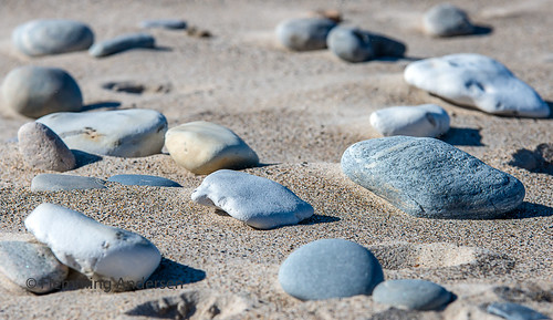 Stones in sand | by The Papa'razzi of dogs