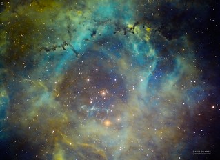 LA ROSETTE NGC 2237 en SHO | by Duartdav6