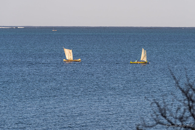 Sailing by at Ifaty, Madagascar