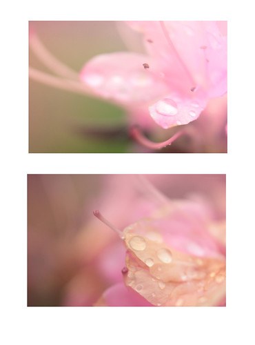 99.366 by emma sutcliffe photography