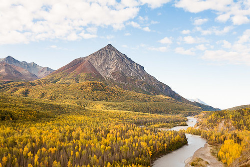 Mountain and River, autumn trees usa mountain color fall water alaska forest river landscape seasons view unitedstates scenic getty aspen glennhighway kingmountain chickaloon matansuka