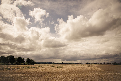 sky field clouds landscape geotagged deutschland bonn natur feld himmel wolken nrw tamron1750 flickraward platiniumheartaward