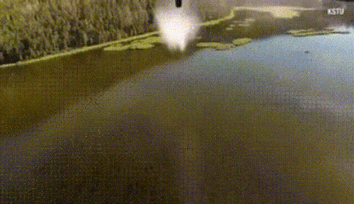 Plane drops hundreds of fish into a lake | by funnygifreactions