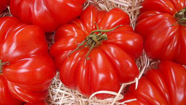 Tomates rouges, plus près