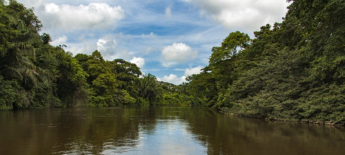 estiu riu river jungle selva aigua paisatge summer landscape cañonegro naturalesa nature núvols natura costarica