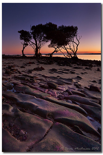 beach sunrise canon sand rocks australia wideangle mangrove qld aus 1020mm manfrotto sigmalens eos450d 450d sorenmartensen hitechgradfilter 09ndreversegradfilter