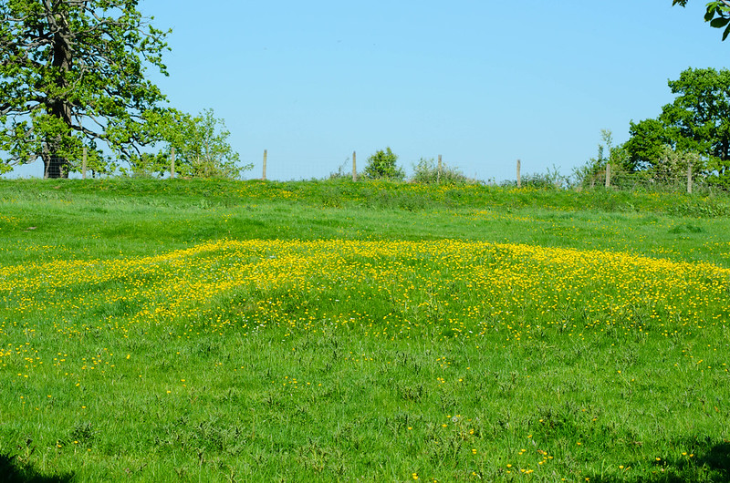Lumps and bumps in the fields