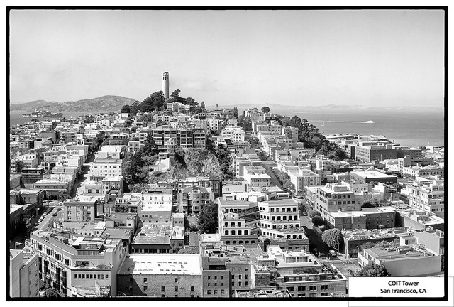 San Francisco's Coit tower - Noon