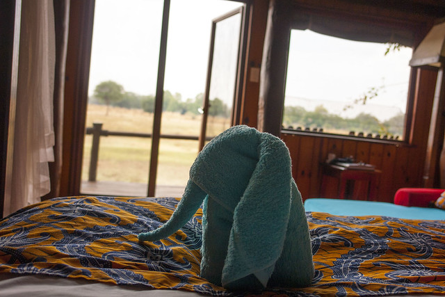 Zambia_LionCamp_5_campview_elephant_room
