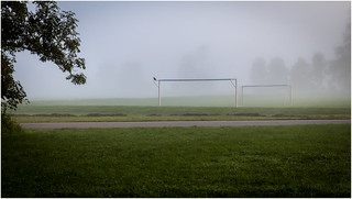 early morning fog.