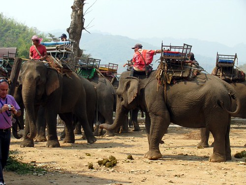 Chang Rai