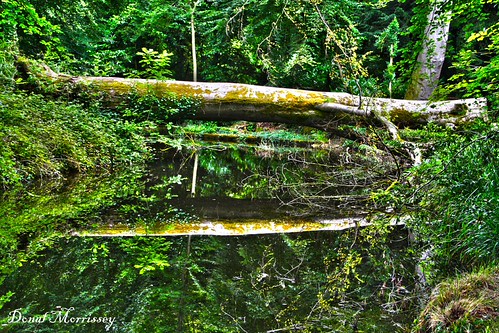 HDR Toning | by Donal Morrissey Photography