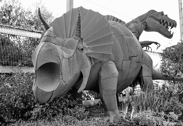 Triceratops Dinosaur Sculpture - Fujica GW690 - TMAX 100