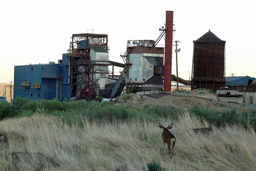 california mill abandoned 2004 rural lost closed jobs decay industy young deer norcal buck lumber spi lumbermill susanville sierrapacific lassencounty