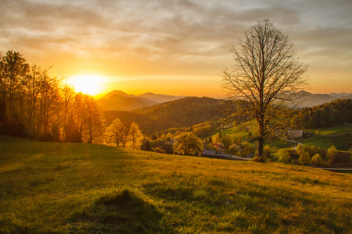 morning trees light sun nature sunrise view slovenia gora limbarska