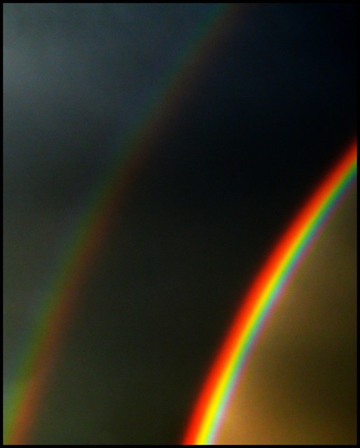 study of the rainbow (2)