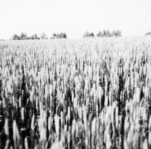 Untitled | by jo.♪