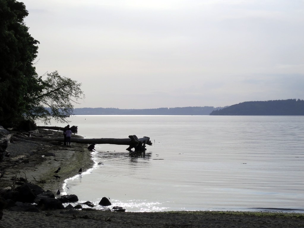 Dash Point Campground
