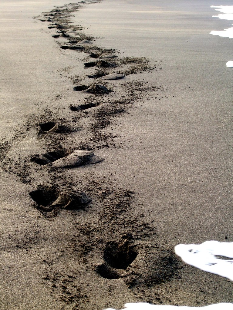 Deine Spuren im Sand... | Martin Storbeck | Flickr