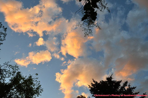 A Random Act of Photography by Photos of Southwest Montana, While trying to get an hummingbird shot one evening I looked up and saw this. 

My website is Christ