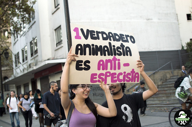 Marcha “Todos los Animales tienen Derechos” 12/03/18 Santiago, Chile.