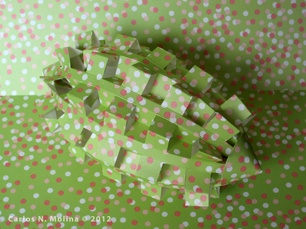Camouflage - Sea Cucumber - Paper Form