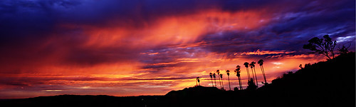 Hollywood Hills #2 by jasonwaterhouse1, Griffith Park, Los Angeles, California.
Fotoman 617. 72mm Schneider Super-Angulon XL. f/22 @ 8 secs.