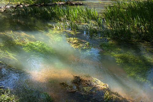 round spring ozarks mo missouri watercress summer morning ozark national scenic riverways