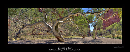 trees landscape nt australia andrew hdr northernterritory simpsonsgap fleming centralaustralia andrewfleming westmacdonnellranges westmacdonnellnationalpark