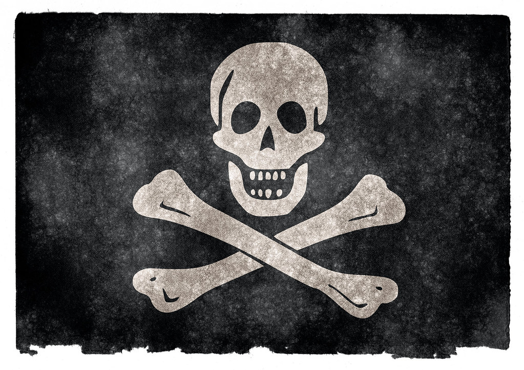 Pirate Jolly Roger Skull Flag Flask D60 8oz Stainless Steel Black and White 