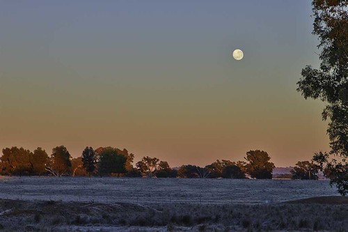 morning winter moon weather set sunrise landscape frost farm australia pasture nsw foresthill waggawagga copyrightpaulwutzke abcopen:project=winter