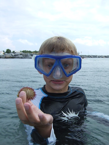 Sawyer finds another sea urchin.