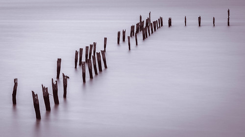 wood landscape sigma dslr australia birds outdoor canon tenbypoint smooth 6d westernportbay ruins westernport seascape sigma24105 posts spring ruin water windy canon6d 24105 post neutraldensityfilter filter neutraldensity monochrome hoya hoyand1000 bird nd1000 victoria pier cold bay midday longexposure