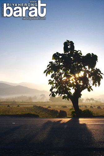 road morning mountains tree sunrise view side philippines fields tarlac