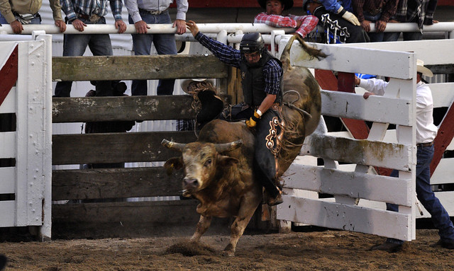 Bullriding at the Cowtown Rodeo