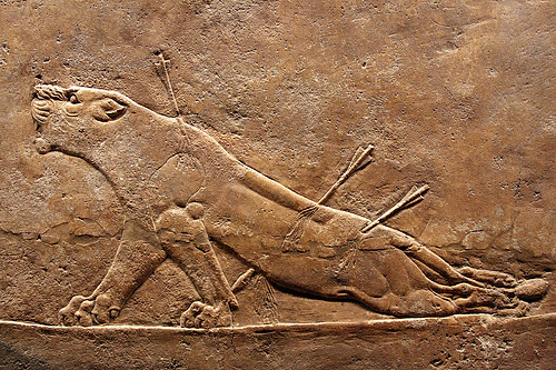 Assyrian Dying Lioness relief from hunting scene in Nineveh 645-635 BC