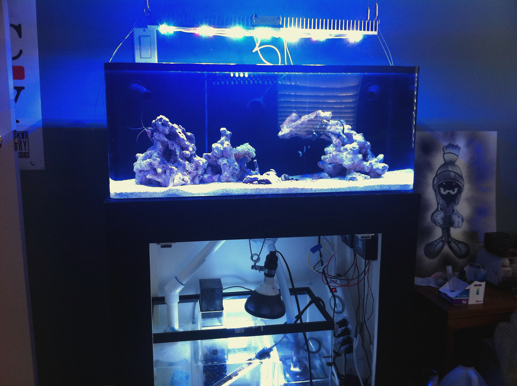 06_Tank_1st_Set-Up | M G | Flickr