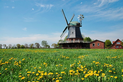windmühle windmill mill mühle deutschland germany norddeutschland niedersachsen löwenzahn galerieholländer mit windrose selsingen mühleninniedersachsen mühlen mills