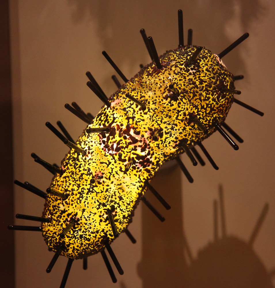 Model of bubonic plague bacteria - Smithsonian Museum of N… | Flickr