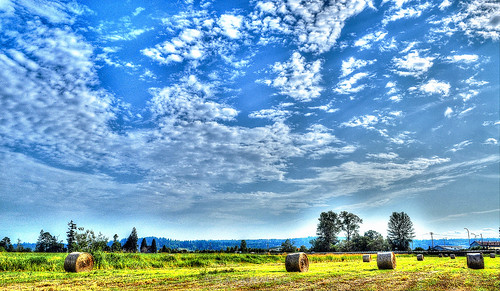 blue summer sky landscape farm land pacificnorthwest snohomish d5000