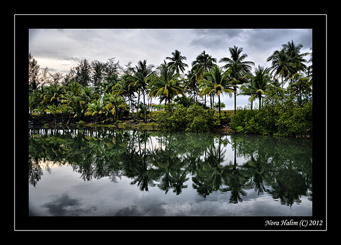 reflection river nikon malaysia coconuttree terengganu marang