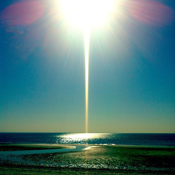 Divinity. #connecticut #beach #iloveflares #spring #flares…
