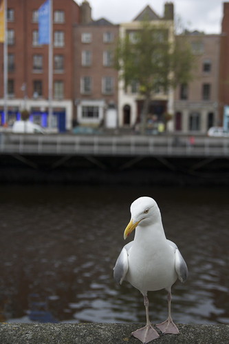 13 June, 2012 | by lynbasill