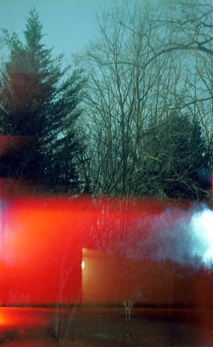 Woodland Deer In The Red - #182 | by Patrick DB