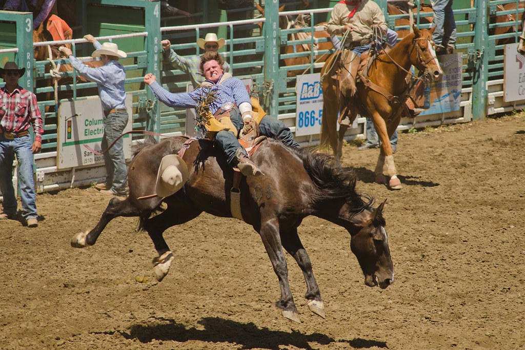 Rowell Ranch Rodeo 2025 Rowell Ranch Rodeo | Flickr