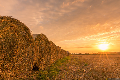 bales of straw II by tomekobi, Sonnenuntergang bei Kirchwehrenhdr goldenestunde feldmark sonne sonnenuntergang seelze strohballen w