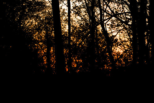 sunset backlight 365 contrejour day479 1000days day4791000 042312