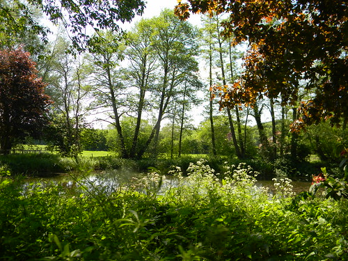 Pond Farnham Circular