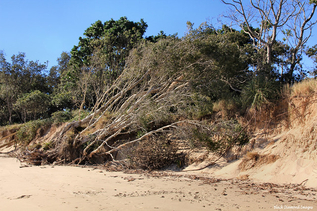 Beach Erosion at Forster Beach, Scotts Head, Mid North Coast, NSW - 23rd June 2012